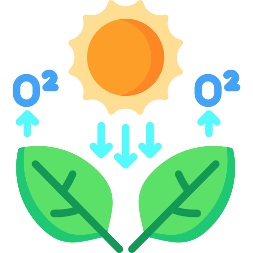 BIOENERGETICS (PHOTOSYNTHESIS/ RESPIRATION) 