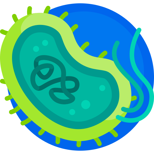 PROKARYOTES (KINGDOM MONERA)